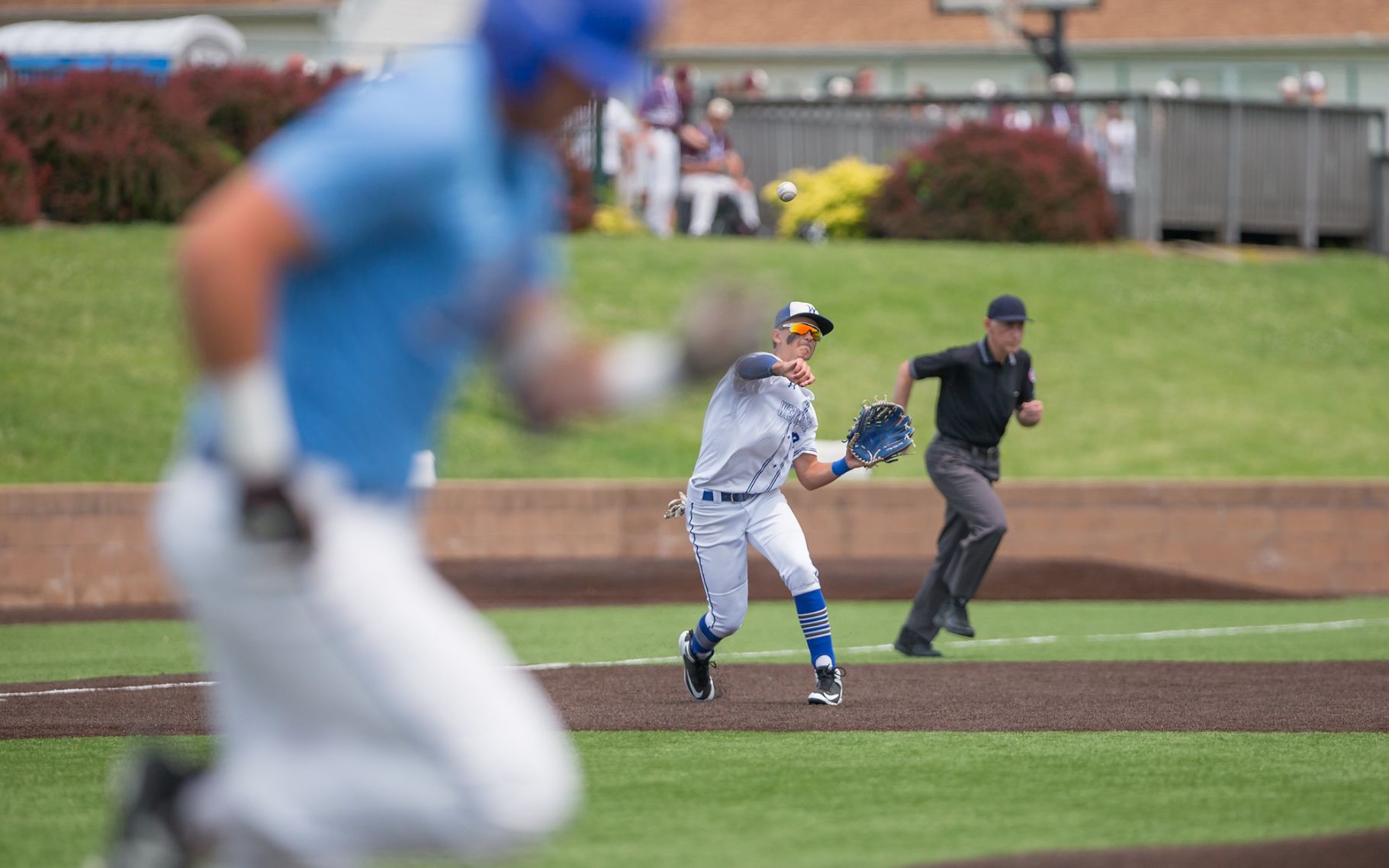 Borgia vs. Westminster baseball